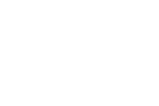 logo - Everlast-1